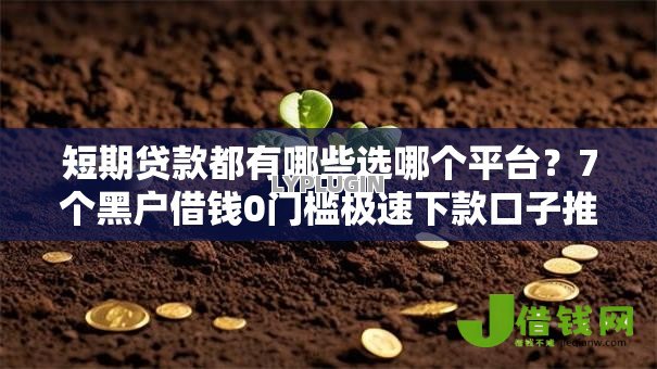 短期贷款都有哪些选哪个平台？7个黑户借钱0门槛极速下款口子推荐