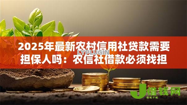2025年最新农村信用社贷款需要担保人吗：农信社借款必须找担保人吗