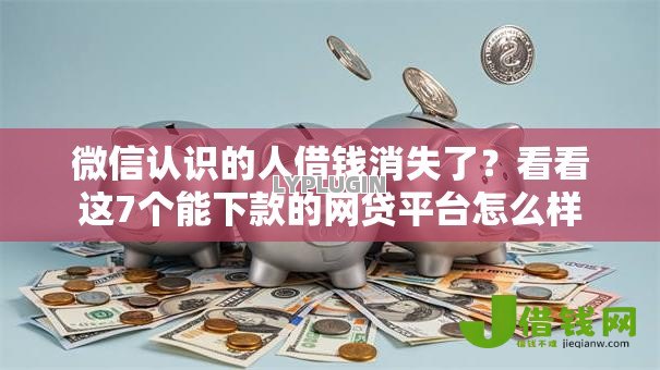 微信认识的人借钱消失了？看看这7个能下款的网贷平台怎么样
