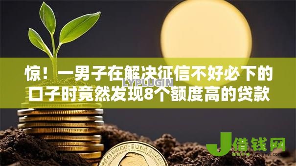 惊！一男子在解决征信不好必下的口子时竟然发现8个额度高的贷款平台，事后分享了出来