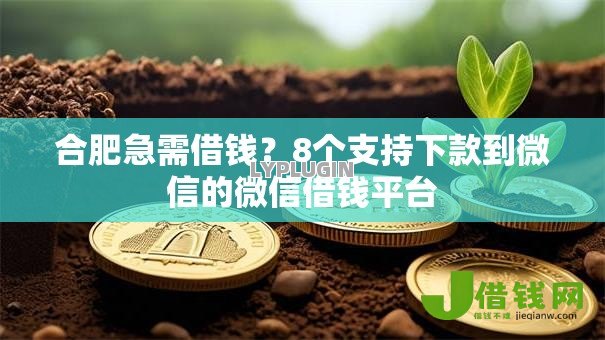 合肥急需借钱？8个支持下款到微信的微信借钱平台