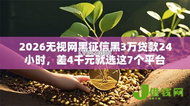 2026无视网黑征信黑3万贷款24小时，差4千元就选这7个平台