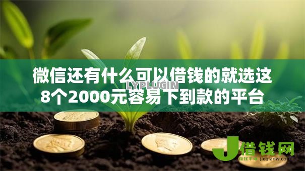 微信还有什么可以借钱的就选这8个2000元容易下到款的平台