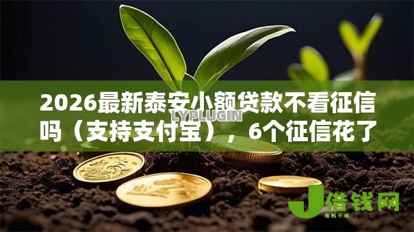 2026最新泰安小额贷款不看征信吗（支持支付宝），6个征信花了可以用的借款平台无私分享