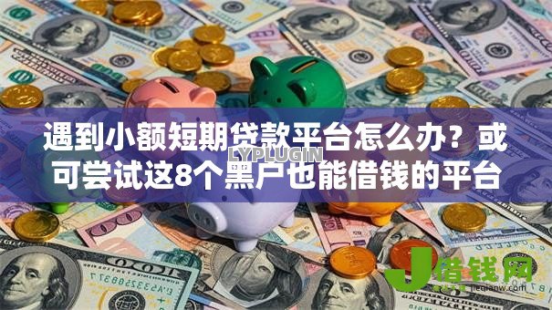 遇到小额短期贷款平台怎么办？或可尝试这8个黑户也能借钱的平台