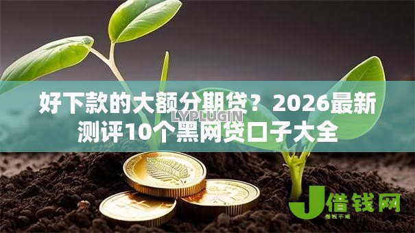 好下款的大额分期贷?2026最新测评10个黑网贷口子大全 好下款的大额分期贷?2026最新测评10个黑网贷口子大全