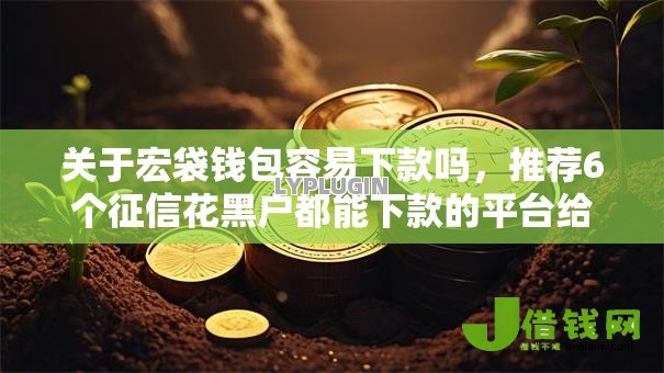 关于宏袋钱包容易下款吗,推荐6个征信花黑户都能下款的平台给你 关于宏袋钱包容易下款吗,推荐6个征信花黑户都能下款的平台给你