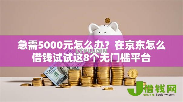 急需5000元怎么办?在京东怎么借钱试试这8个无门槛平台 急需5000元怎么办?在京东怎么借钱试试这8个无门槛平台
