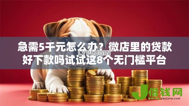 急需5千元怎么办？微店里的贷款好下款吗试试这8个无门槛平台