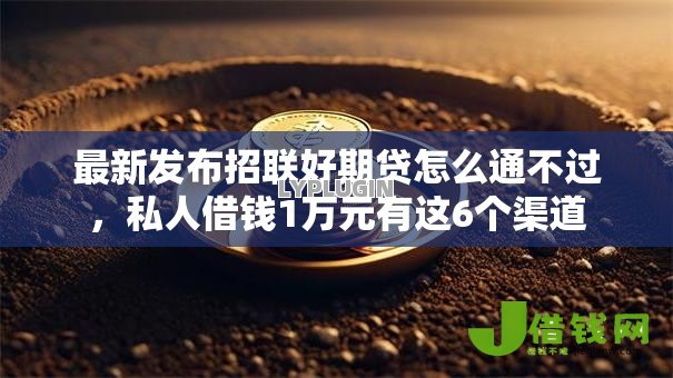 最新发布招联好期贷怎么通不过，私人借钱1万元有这6个渠道