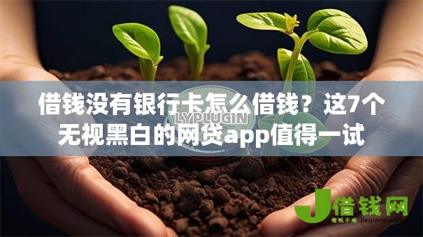 借钱没有银行卡怎么借钱？这7个无视黑白的网贷app值得一试