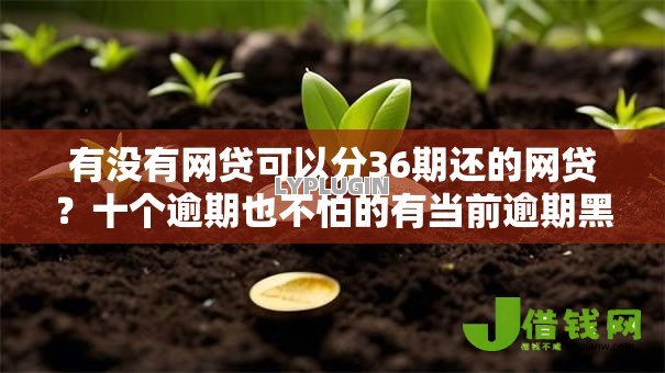 有没有网贷可以分36期还的网贷？十个逾期也不怕的有当前逾期黑户借钱口子