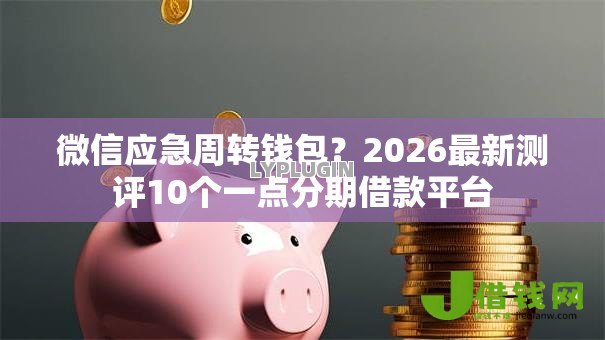 微信应急周转钱包？2026最新测评10个一点分期借款平台