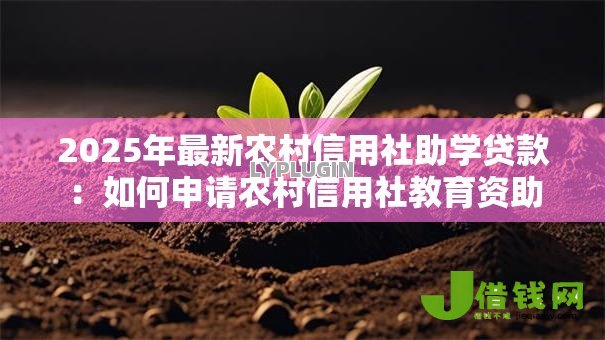 2025年最新农村信用社助学贷款：如何申请农村信用社教育资助