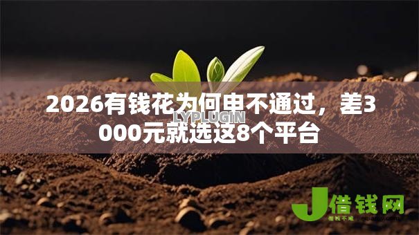 2026有钱花为何申不通过，差3000元就选这8个平台