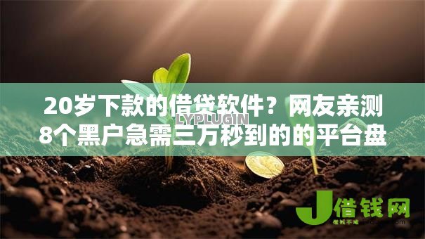 20岁下款的借贷软件？网友亲测8个黑户急需三万秒到的的平台盘点