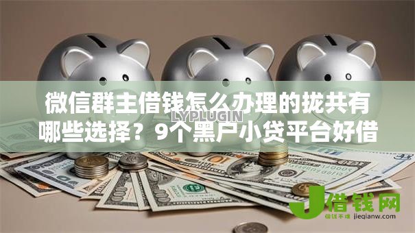 微信群主借钱怎么办理的拢共有哪些选择？9个黑户小贷平台好借款详解
