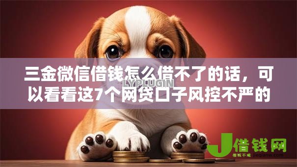 三金微信借钱怎么借不了的话，可以看看这7个网贷口子风控不严的口子