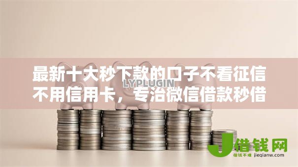 最新十大秒下款的口子不看征信不用信用卡，专治微信借款秒借3000