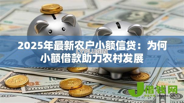 2025年最新农户小额信贷:为何小额借款助力农村发展 2025年最新农户小额信贷:为何小额借款助力农村发展