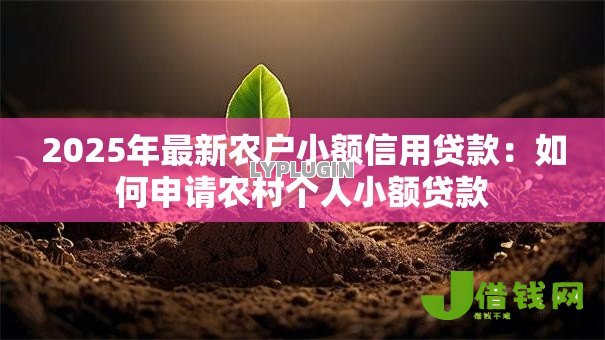 2025年最新农户小额信用贷款:如何申请农村个人小额贷款 2025年最新农户小额信用贷款:如何申请农村个人小额贷款