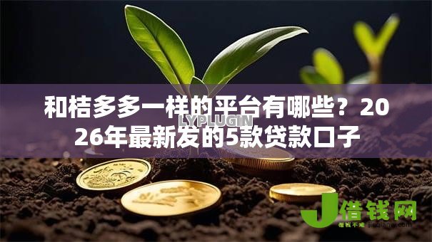 和桔多多一样的平台有哪些？2026年最新发的5款贷款口子