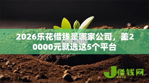 2026乐花借钱是哪家公司，差20000元就选这5个平台