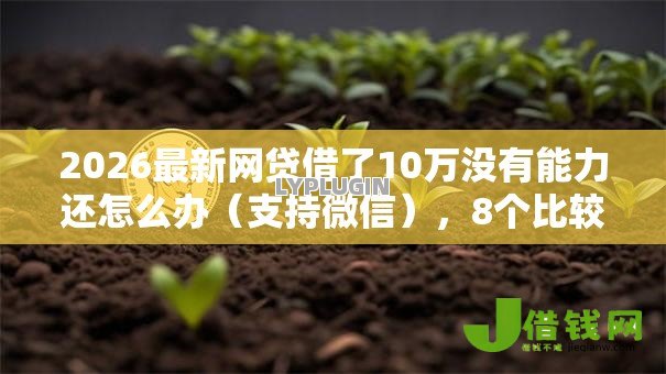 2026最新网贷借了10万没有能力还怎么办（支持微信），8个比较好的网贷平台排名不分先后无私分享