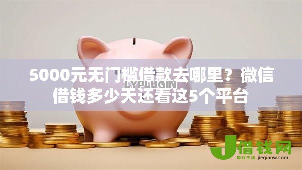 5000元无门槛借款去哪里？微信借钱多少天还看这5个平台