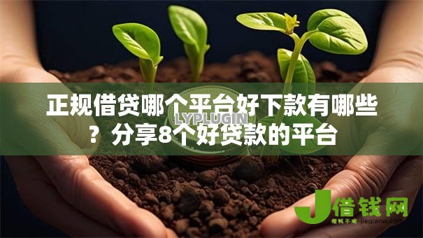 正规借贷哪个平台好下款有哪些？分享8个好贷款的平台