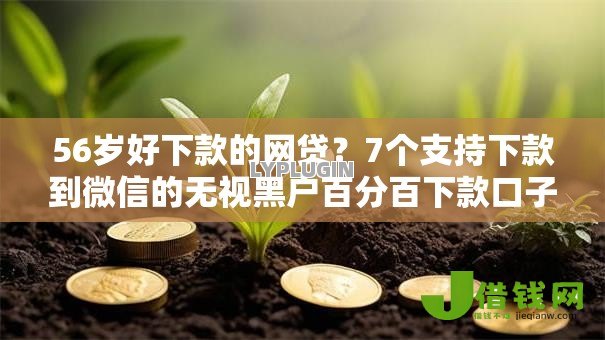 56岁好下款的网贷?7个支持下款到微信的无视黑户百分百下款口子 56岁好下款的网贷?7个支持下款到微信的无视黑户百分百下款口子