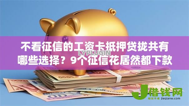 不看征信的工资卡抵押贷拢共有哪些选择？9个征信花居然都下款的app详解