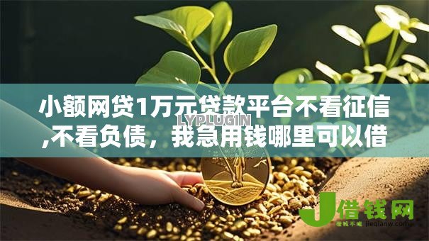 小额网贷1万元贷款平台不看征信,不看负债，我急用钱哪里可以借的7个平台介绍