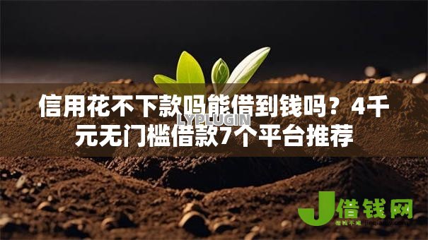 信用花不下款吗能借到钱吗？4千元无门槛借款7个平台推荐