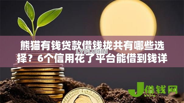熊猫有钱贷款借钱拢共有哪些选择？6个信用花了平台能借到钱详解