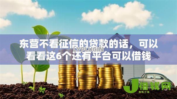 东营不看征信的贷款的话，可以看看这6个还有平台可以借钱