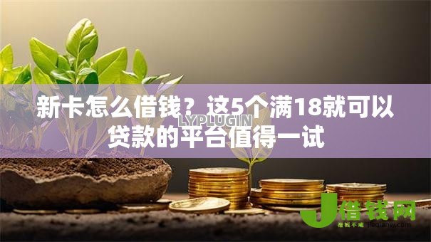 新卡怎么借钱？这5个满18就可以贷款的平台值得一试