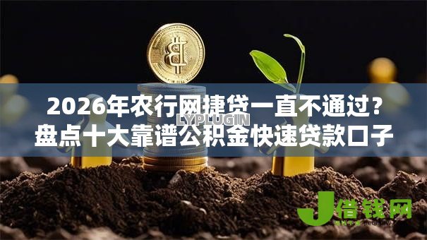 2026年农行网捷贷一直不通过?盘点十大靠谱公积金快速贷款口子 2026年农行网捷贷一直不通过?盘点十大靠谱公积金快速贷款口子