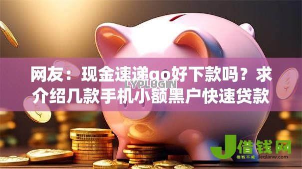 网友：现金速递go好下款吗？求介绍几款手机小额黑户快速贷款软件