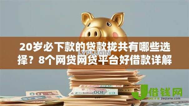 20岁必下款的贷款拢共有哪些选择？8个网贷网贷平台好借款详解