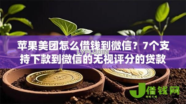 苹果美团怎么借钱到微信？7个支持下款到微信的无视评分的贷款app