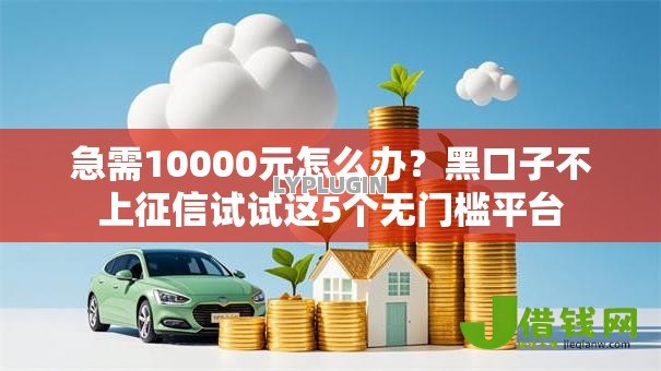 急需10000元怎么办?黑口子不上征信试试这5个无门槛平台 急需10000元怎么办?黑口子不上征信试试这5个无门槛平台