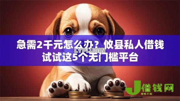 急需2千元怎么办？攸县私人借钱试试这5个无门槛平台