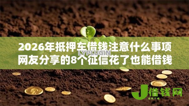 2026年抵押车借钱注意什么事项网友分享的8个征信花了也能借钱的正规平台我觉得不错！