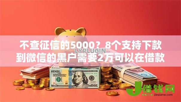 不查征信的5000？8个支持下款到微信的黑户需要2万可以在借款平台借款