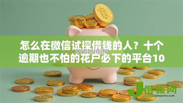 怎么在微信试探借钱的人？十个逾期也不怕的花户必下的平台100%通过率