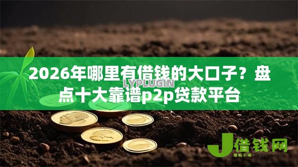 2026年哪里有借钱的大口子?盘点十大靠谱p2p贷款平台 2026年哪里有借钱的大口子?盘点十大靠谱p2p贷款平台