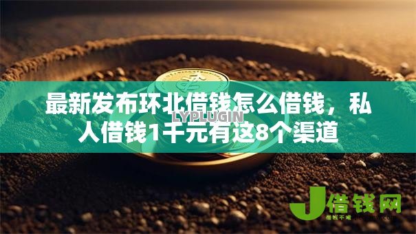 最新发布环北借钱怎么借钱，私人借钱1千元有这8个渠道