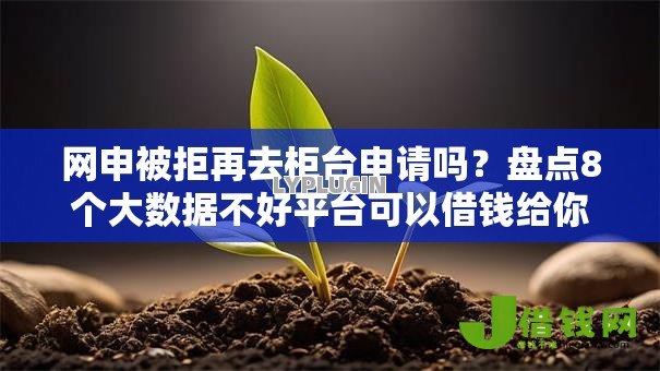 网申被拒再去柜台申请吗?盘点8个大数据不好平台可以借钱给你参考 网申被拒再去柜台申请吗?盘点8个大数据不好平台可以借钱给你参考