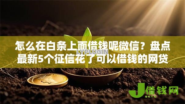 怎么在白条上面借钱呢微信？盘点最新5个征信花了可以借钱的网贷平台